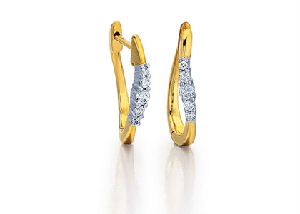 Gold Plated | Fashion Earrings